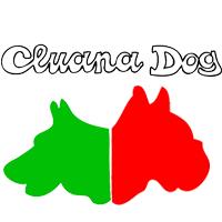 Cluana Dog