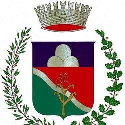 Municipio