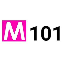 M101 Consulenza