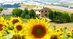 MARCHE CASA Immobiliare