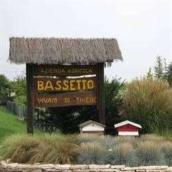 Vivai Bassetto