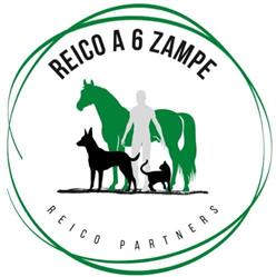 Reico a 6 Zampe - Partner Reico