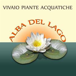 Vivaio Piante Acquatiche "Alba del Lago"