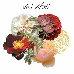 Azienda Vitivinicola Vitali