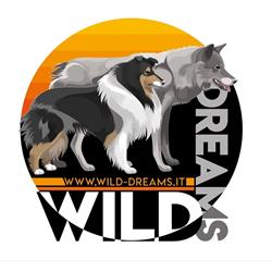 Wild Dreams - Scuola Cinofila