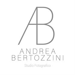 Andrea Bertozzini wedding photographer