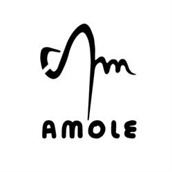 Amole - Osteria Multiculturale