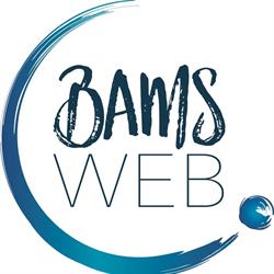 BAMS WEB
