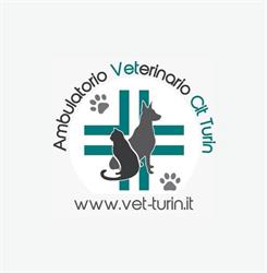 Ambulatorio Veterinario Cit Turin