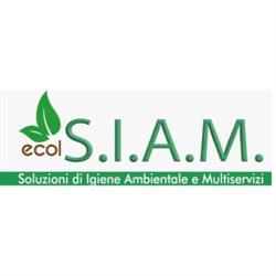Impresa di Pulizie C & C -Impresa di pulizia Palermo-Disinfestazione Palermo-Derattizzazione Palermo