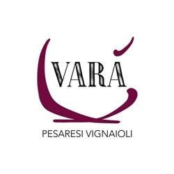 VARA' PESARESI VIGNAIOLI