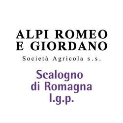 Azienda Agricola "Alpi Romeo e Giordano" s.s.