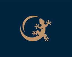Geko Gold