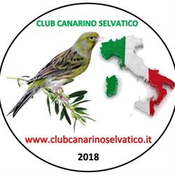 Club Italiano del Canarino Selvatico