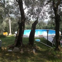 Il Borgo dei Pini
