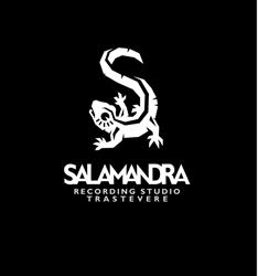 Salamandra 33 Studio