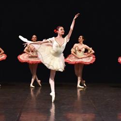 ARP dance asd