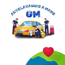 GM AUTOLAVAGGIO POLVERE DAVID