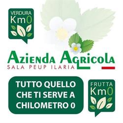 Azienda Agricola Sala Peup Ilaria
