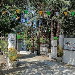 Gli Ulivi, Comunità alloggio per Anziani