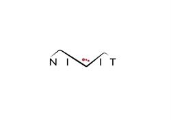 Nivit srl