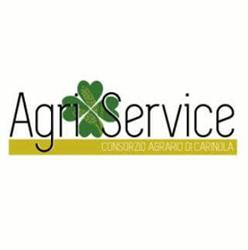 Agri Service di Tartaglione Raffaele & C. Sas