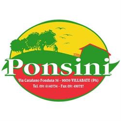 Ponsini Olive