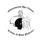 K9 dei Volsci - Centro cinofilo e formazione d'eccellenza