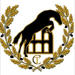 Cavalli Traianensis - di Carlo Testa - Allevamento cavalli sportivi