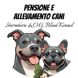Pensione Stormborn & O.G. Blood Kennel
