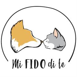 Mi fido di te