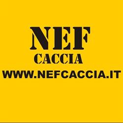 Nef Nanni Daniele & Marco