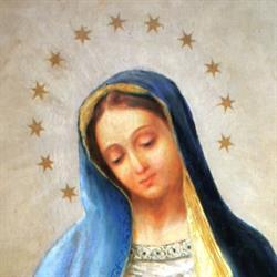 Congregazione dei Figli di Santa Maria Immacolata