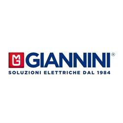 Giannini srl