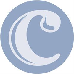 Capurro Ricevimenti Srl