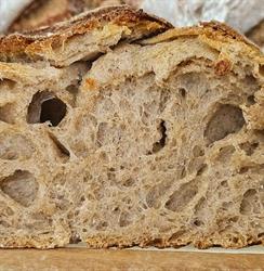 Panificio l'artigiano del pane di Ceraolo Rosa