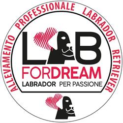 LabforDream - Servizi per Animali Domestici a Mestrino