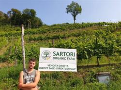 Sartori organic farm