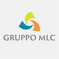 Gruppo Medical Line Consulting