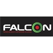 Falcon Pergolati E Gazebo Di Narcisi Maurizio & Fanesi Gia Snc