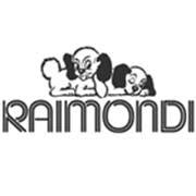 Raimondi spa