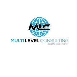 MULTI LEVEL Consulting