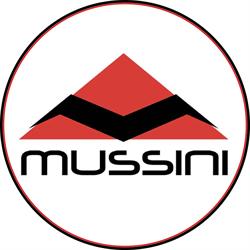 MUSSINI S.a.s. - Progettazione web e 3D
