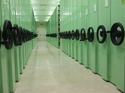 Sintesi Biblioteche