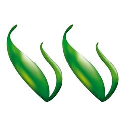 Verde Vivo Garden Center