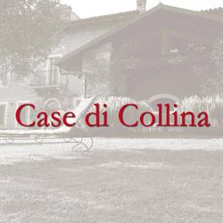 AGENZIA IMMOBILIARE CASEDICOLLINA DI INTROVIGNE CAROL