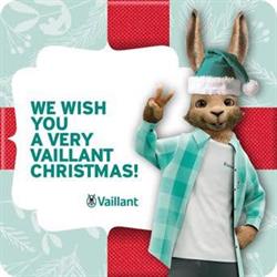 VSD Cuneo - Assistenza Vaillant Cuneo