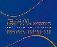 E.C.U. Tuning Software Automotive