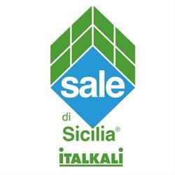 Italkali Società Italiana Sali Alcalini Spa