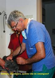 Clinica Veterinaria Dott. Bevilacqua - Ambulanza